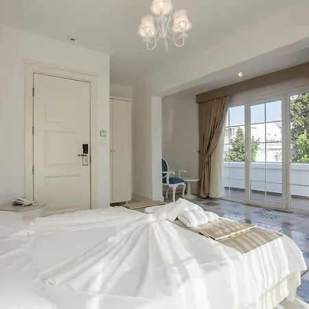 Buyukada Cankaya 3* Adalar