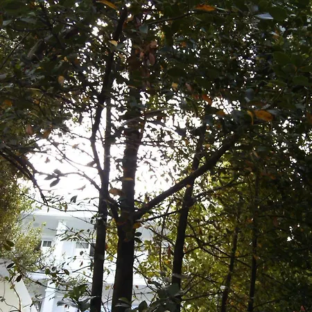Buyukada Cankaya 3* Adalar